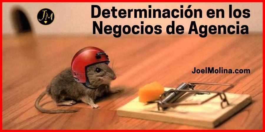 Porque Debes Tener Determinación en los Negocios de Agencia